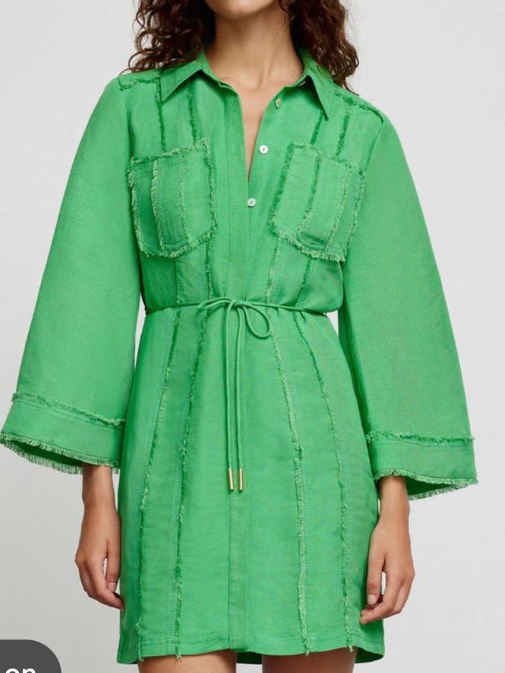 Significant Other Green Shirt-Tie Mini Dress